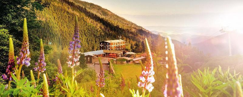 Hotel Srdiecko 3*